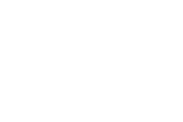 Richmond International Film Festival