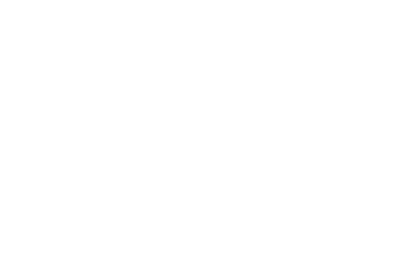Paris International Film Festival