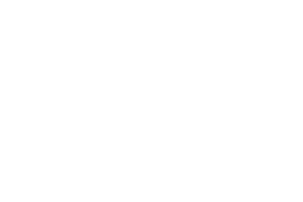 Pan African Film Festival