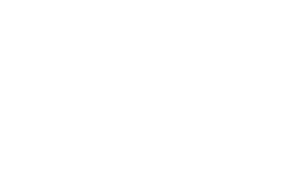 Bridgeport Film Festival