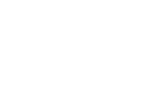 Pittsburgh Shorts