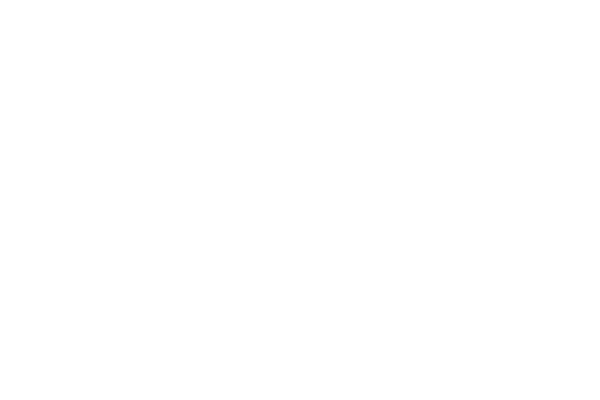 Tryon International Film Festival