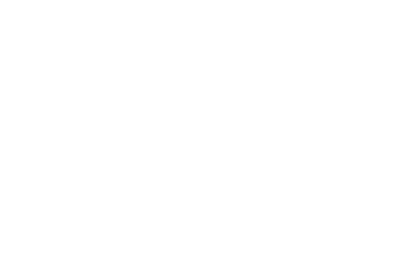 Three Rivers Film Festival Best Narrative