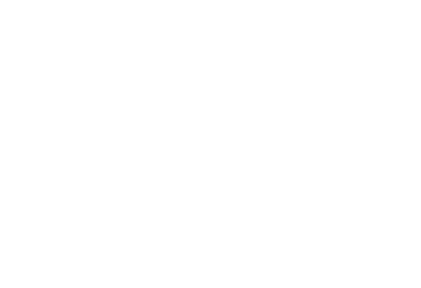 Three Rivers Film Festival 2022