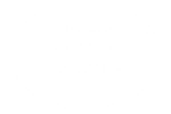 Amazing Fantasy Fest