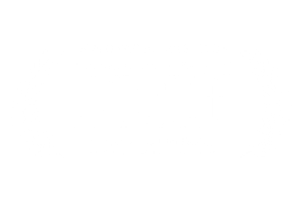 Fort Myers Film Festival