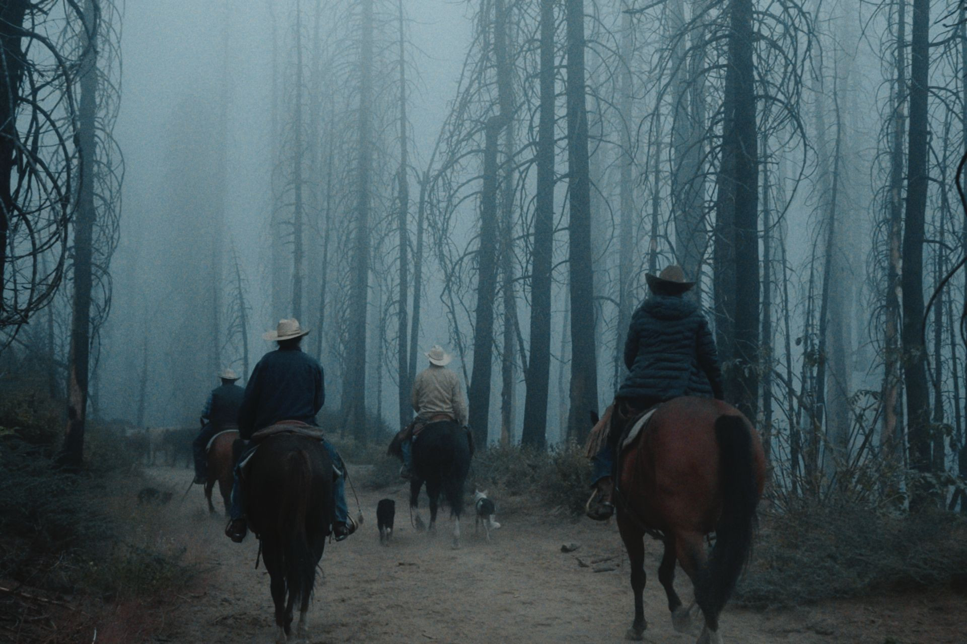 Remnants Gallery Image #1