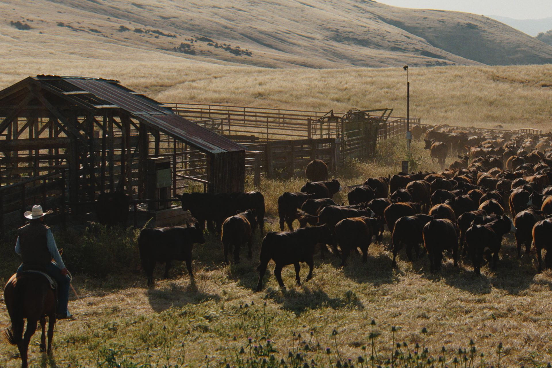 Remnants Gallery Image #2