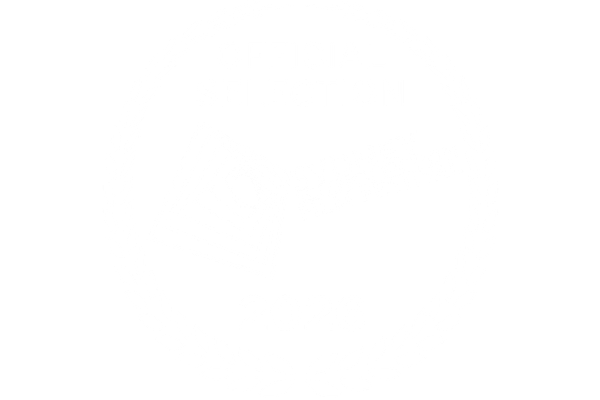 Sydney Science Fiction Film Festival